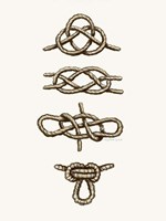 Knot So Fast Fine Art Print