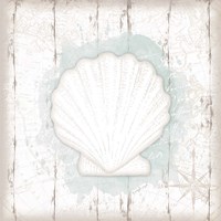 Calming Coastal Shell II Fine Art Print