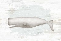 Calming Coastal Whale Fine Art Print