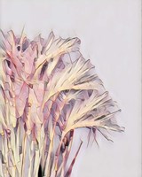 Pink Grass Fine Art Print