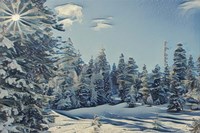 December Dreams Fine Art Print