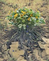 Desert Bouquet Fine Art Print