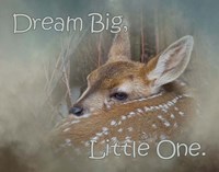 Dream Big Dear Fine Art Print