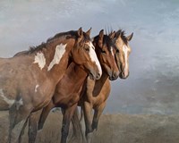 Bachelor Buddies Fine Art Print