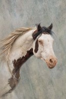 Shaman Fine Art Print