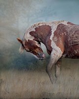 Attitude Fine Art Print