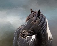 Domino Fine Art Print