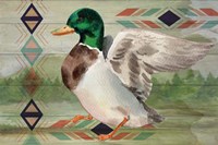Duck Fine Art Print