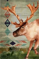 Moose Fine Art Print