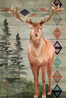 Elk Framed Print