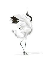 Dancing Bird I Fine Art Print