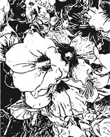BW Floral No. 6 Fine Art Print