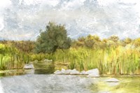 Marshy Wetlands No. 1 Fine Art Print