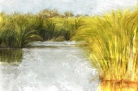 Marshy Wetlands No. 2 Fine Art Print