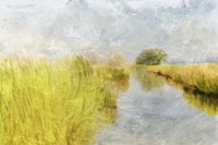 Marshy Wetlands No. 5 Fine Art Print