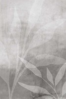 Leafy Parts No. 2 Framed Print