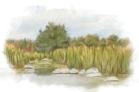 Marshy Wetlands I Fine Art Print