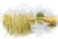 Marshy Wetlands V Fine Art Print