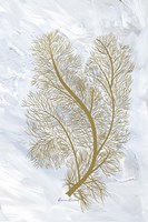 Feathery Sea Fern I Fine Art Print