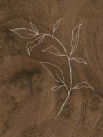 Wispy Wood I Fine Art Print