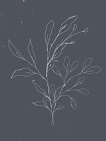 Soft Bouquet I Fine Art Print