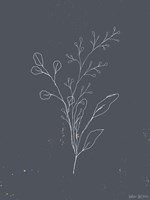 Soft Bouquet II Fine Art Print