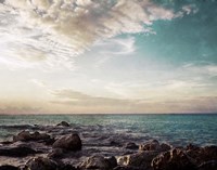 Bimini Shore Fine Art Print