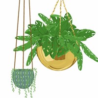 Hanging Plant Set Fine Art Print