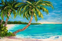 Palm Cove Fine Art Print