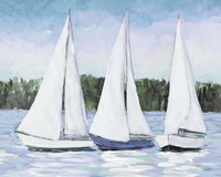 White Sails Fine Art Print