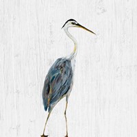 Heron on Whitewash II Fine Art Print