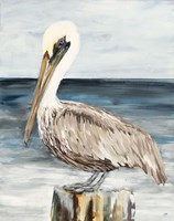 Muted Perched Pelican Fine Art Print