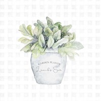 Garden Plants III Fine Art Print