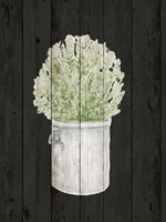 Herbs on Black II Fine Art Print