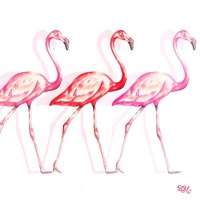 Flamingo Trio I Fine Art Print