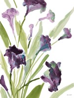 Purple Belles II Fine Art Print