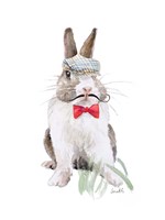 Modern Bunny III Framed Print