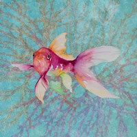 Fish On Coral II Fine Art Print