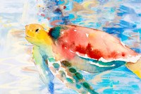 Turtle Passing Trhough Fine Art Print