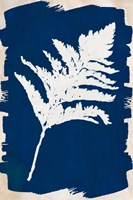 White Leaf on Navy I Fine Art Print