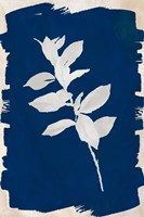 White Leaf on Navy II Fine Art Print