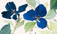 Blue Watercolor Flowers II Fine Art Print