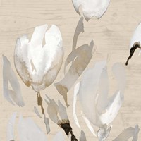Neutral Tulips I Fine Art Print
