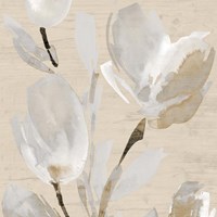 Neutral Tulips II Fine Art Print