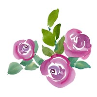 Fushia Roses Fine Art Print