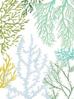 Budding Vertical Coral II Framed Print