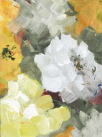 Canyon Road Garden I Framed Print