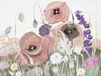 Victory Pink Poppies I Fine Art Print