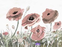 Victory Pink Poppies II Fine Art Print