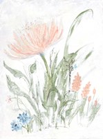 Spring Garden II Fine Art Print